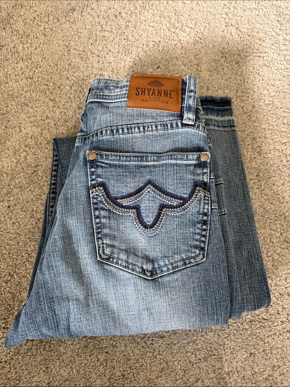Shyanne Light Blue Denim Jeans with Navy Embroidery